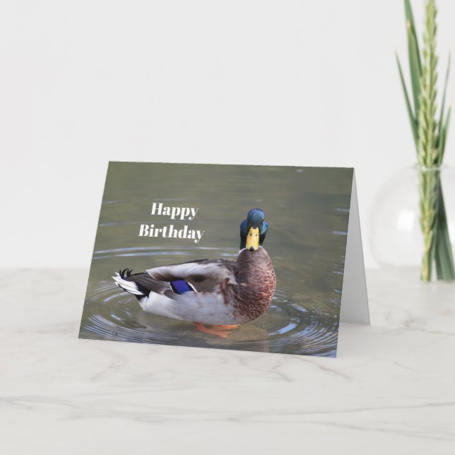 Mallard Duck Drake Water Photo Birthday Kort (Framsida)