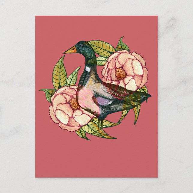 Mallard Duck Peony Nature Lovers                   Vykort (Framsida)