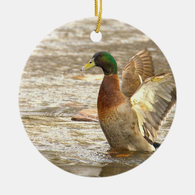 Mallard Duck Photo Ornament  (Framsidan)