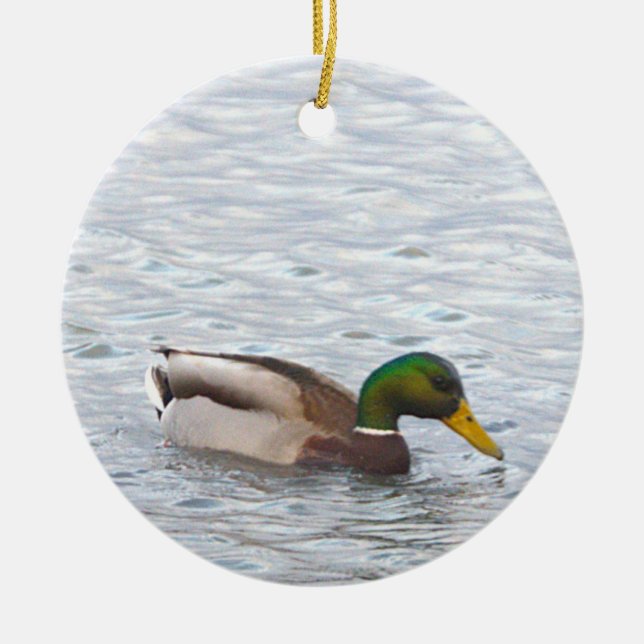 Mallard Duck Photo Ornament  (Framsidan)