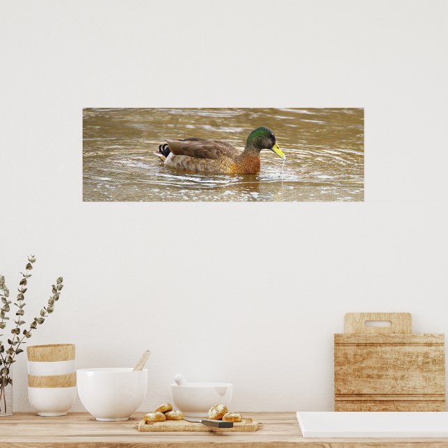 Mallard Duck Photo Poster (Kök)