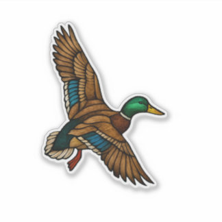 Mallard Duck Sticker Klistermärken