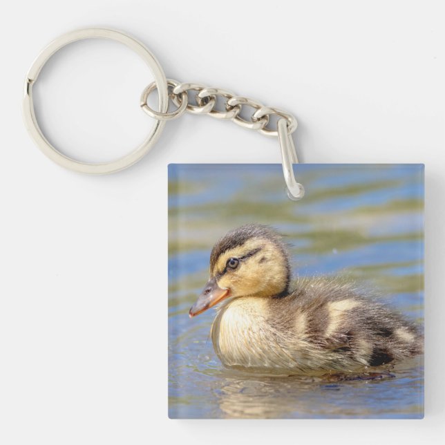 Mallard Duckling (Framsidan)