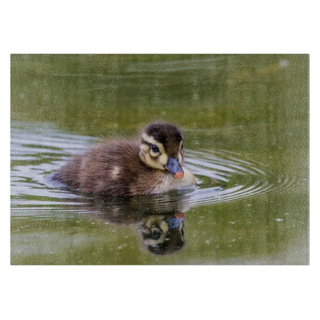 Mallard Duckling (Framsidan)