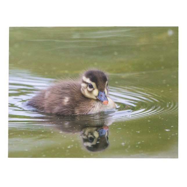 Mallard Duckling Anteckningsblock (Framsida)
