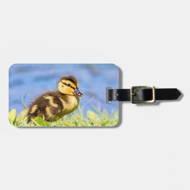 Mallard Duckling Bagagebricka (Horisontell Framsida)