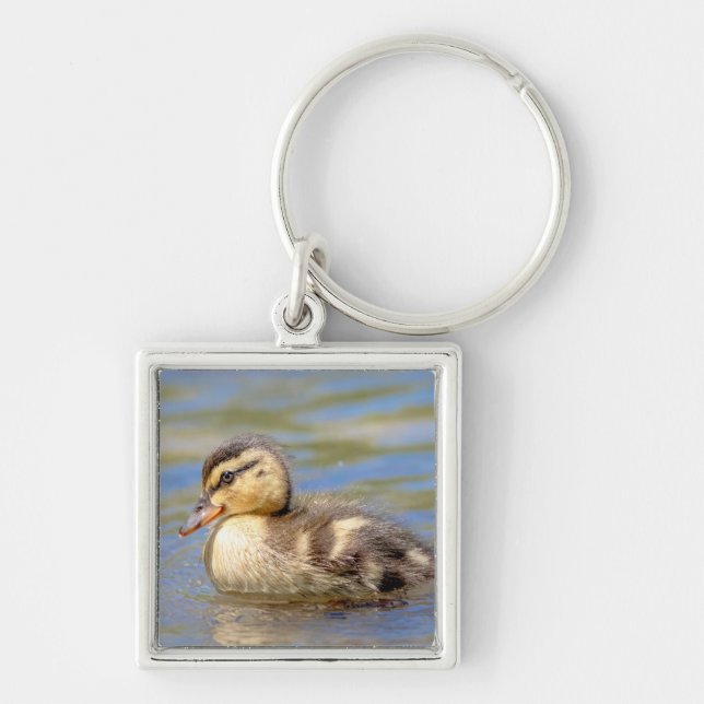 Mallard Duckling Fyrkantig Silverfärgad Nyckelring (Framsidan)