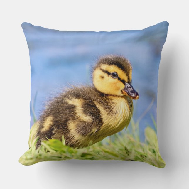 Mallard Duckling Kudde (Framsida)