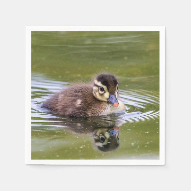 Mallard Duckling Pappersservett (Framsidan)