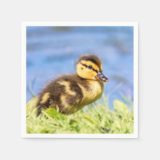 Mallard Duckling Pappersservett (Framsidan)