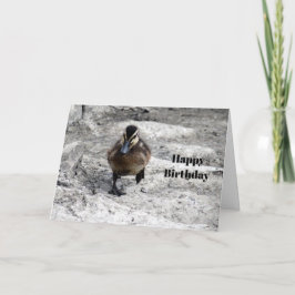 Mallard Duckling Photo Birthday Kort