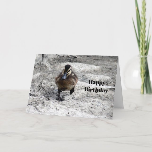 Mallard Duckling Photo Birthday Kort (Framsida)