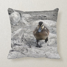 Mallard Duckling Photo Kudde