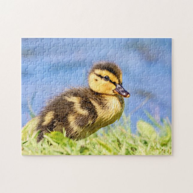 Mallard Duckling Pussel (Horisontell)