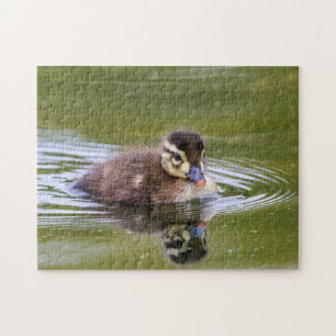 Mallard Duckling Pussel