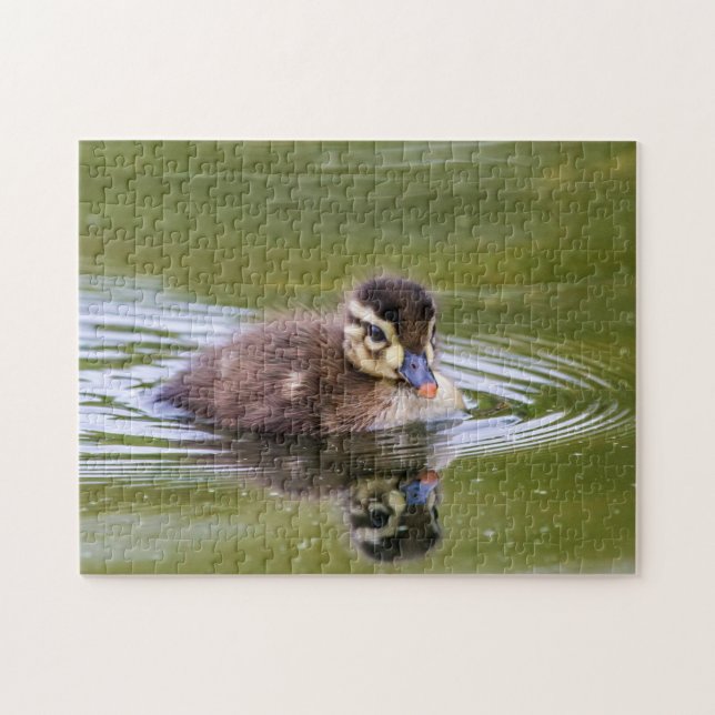 Mallard Duckling Pussel (Horisontell)