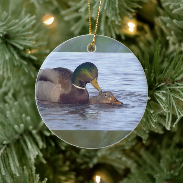 Mallard Ducks Ornament  (Träd)