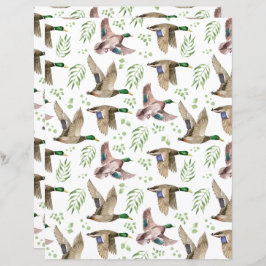 Mallard Ducks Scrapbook Paper