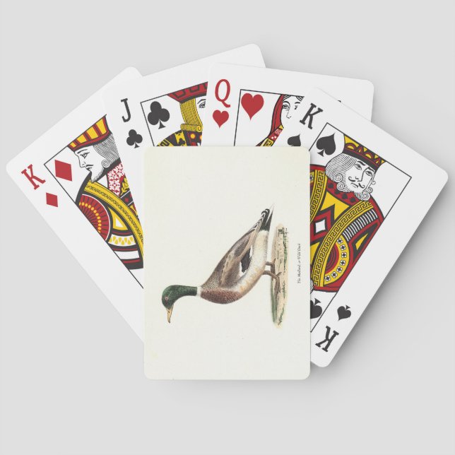Mallard eller Vild Anka (Anas platyrhynchos) Casinokort (Baksidan)