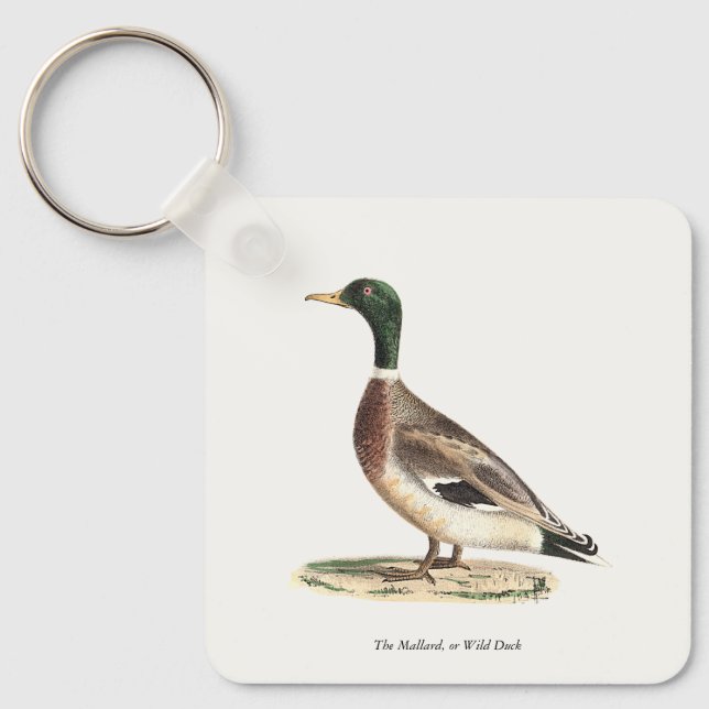 Mallard eller Vild Anka (Anas platyrhynchos) Nyckelring (Framsida)