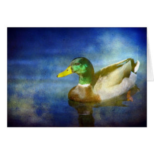 Mallard Hälsningskort