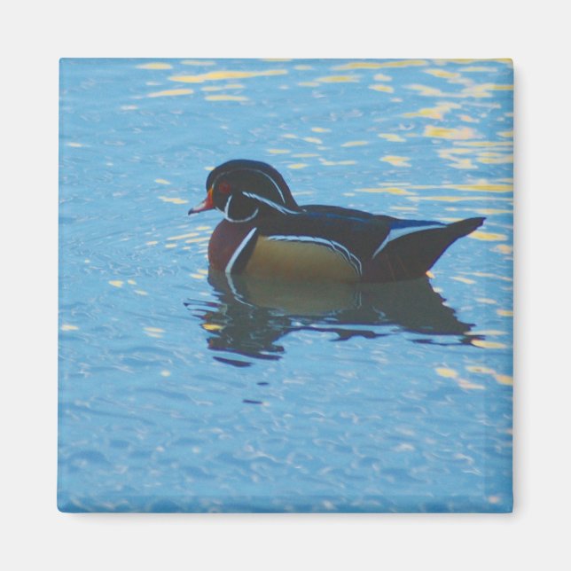 Mallard Magnet (Framsidan)