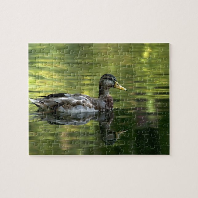 Mallard Mirrored på Grönten Vatten Pussel (Horisontell)