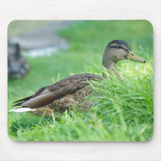 Mallard Mousepad Musmatta (Framsidan)