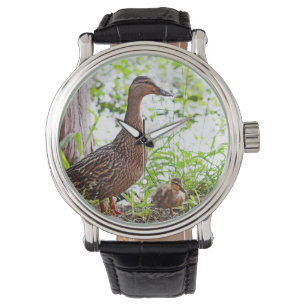 Mallard och Ducklings av Shirley Taylor Armbandsur