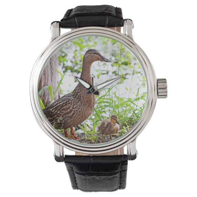 Mallard och Ducklings av Shirley Taylor Armbandsur (Framsida)