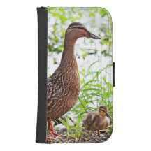 Mallard och Ducklings av Shirley Taylor