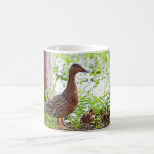 Mallard och Ducklings av Shirley Taylor Kaffemugg