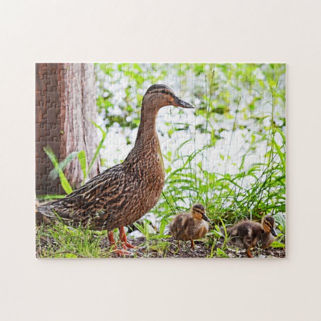Mallard och Ducklings av Shirley Taylor Pussel (Horisontell)