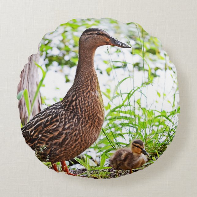 Mallard och Ducklings av Shirley Taylor Rund Kudde (Framsidan)