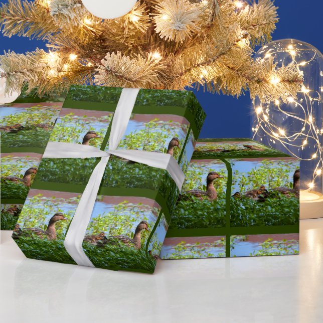 Mallard och Ducklings-Swimming av Shirley Taylor Presentpapper (Helgdagar)