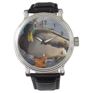Mallard på Ice Armbandsur