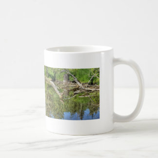 Mallard på Pond Kaffemugg