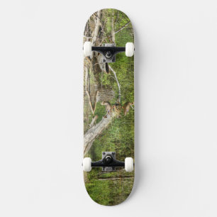 Mallard på Pond Skateboard Bräda 19,5 Cm