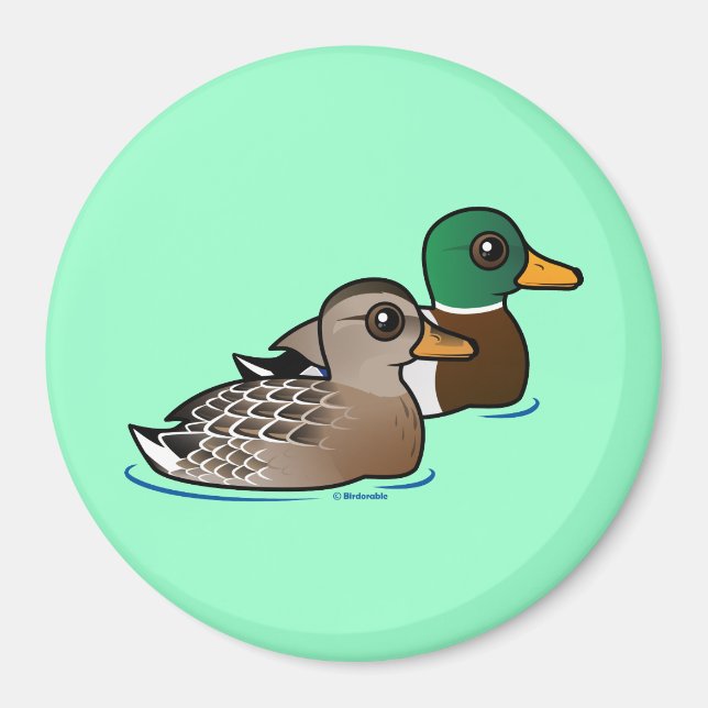 Mallard Pair Magnet (Framsidan)