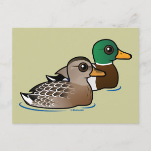 Mallard Pair Vykort