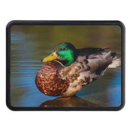 Mallard Porträtt Dragkroksskydd