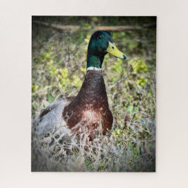 Mallard Pussel