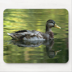 Mallard speglade på Grönt Vatten Musmatta