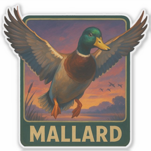 Mallard Sticker Klistermärken (Framsida)