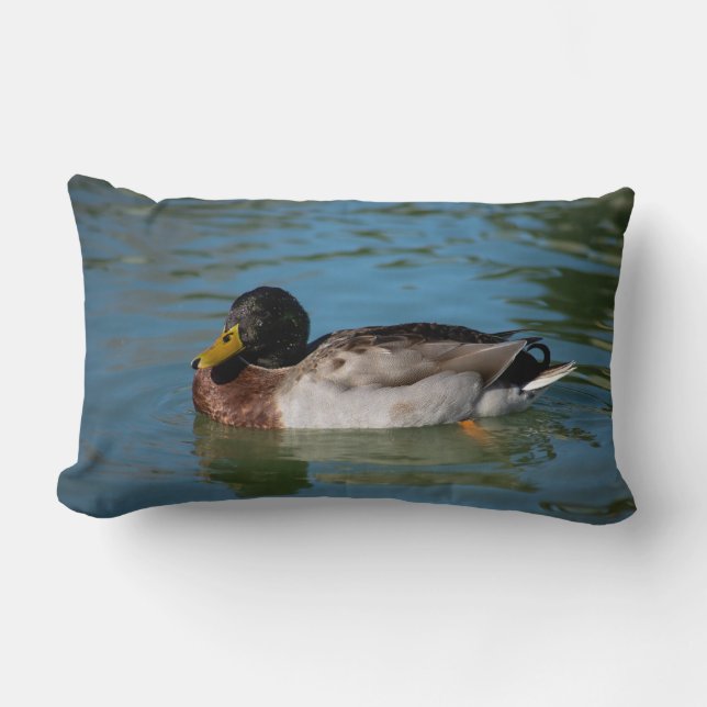 Mallard Swimming Lumbarkudde (Framsida)