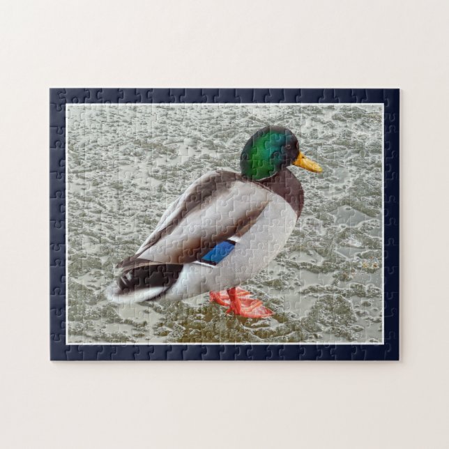 Mallard Wild Duck On Frozen Lake Pussel (Horisontell)