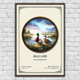 Mallard Zoologi Serie Poster