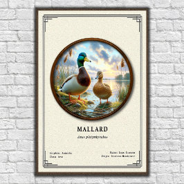 Mallard Zoologi Serie Poster