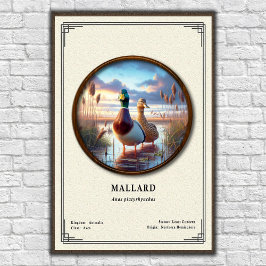 Mallard Zoologi Serie Poster