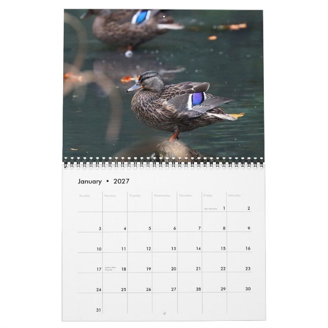 Mallards 2021 kalender (Jan 2027)